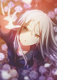 宵崎奏の妹になったので宵崎奏を愛します