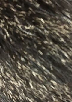 発狂、頭やばい