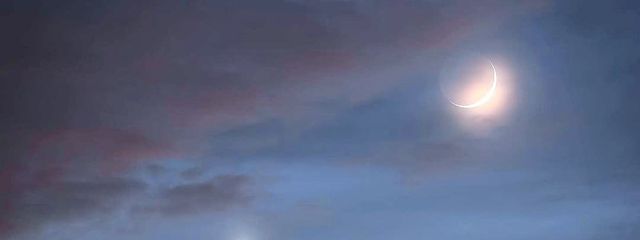 しずくさんの壁紙画像