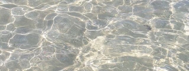 pinaさんの壁紙画像