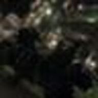 翼さんのアイコン画像