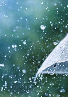 家出男子アニメの世界へ！