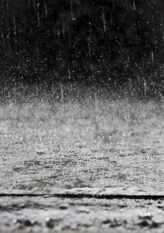 拾った子供をどうするべきでしょうか