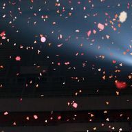 Markさんのアイコン画像