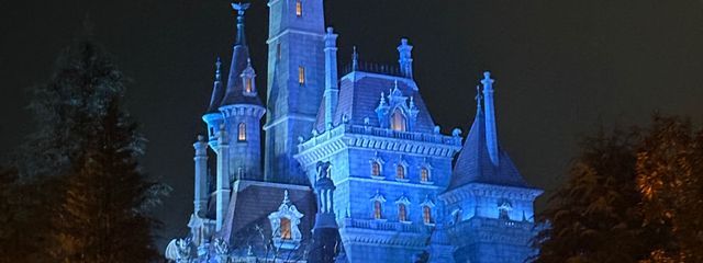 パグ大好き人間🤧🩷※めちゃくちゃ🐢投稿さんの壁紙画像