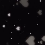 にゃお〜(^_  ̫ _^)❤︎さんのアイコン画像