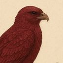 鳶
