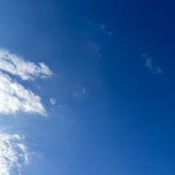 AT333🐻さんのアイコン画像