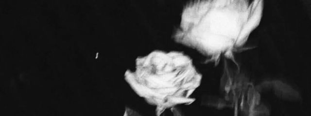 　天露なぎさんの壁紙画像