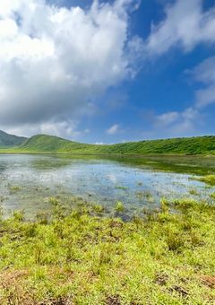 僕は推しを語りたい！