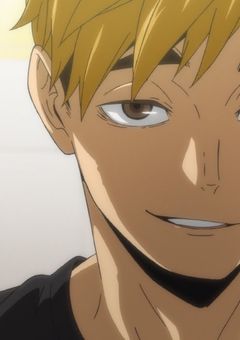 16才 183.6cmの犬拾いました。