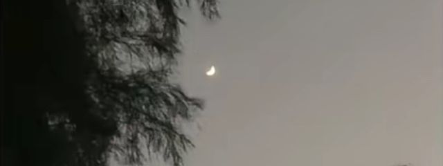 ♡꙼̈さんの壁紙画像