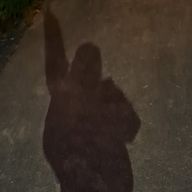 瑠愛さんのアイコン画像