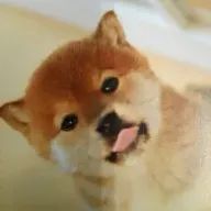 みき くにこさんのアイコン画像