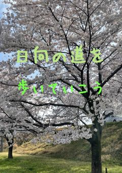 日向の道を歩いていこう
