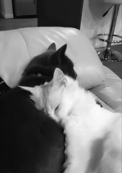 書きたくなったら書く短編集