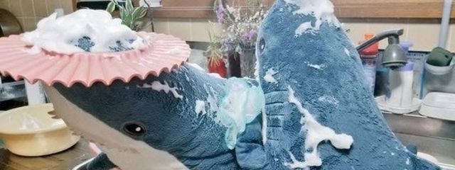 さめ@酒の海に沈没中さんの壁紙画像