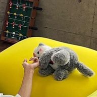 のあさんのアイコン画像