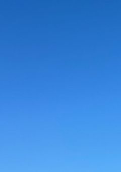 恋模様 . (お相手様はご自由に)