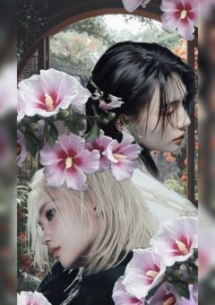 槿花が露に帰す前に