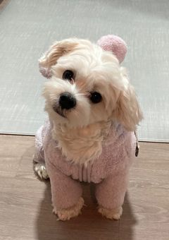 あんな事になるなら、弟なんていらない