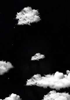 僕の本音…
