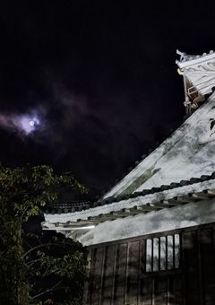 嘘つきだらけの家族