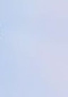 血の雨に打たれながら