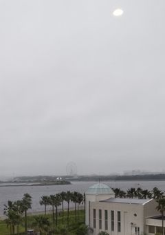 華は枯れて咲き乱れる