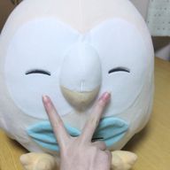 時無ミライ @20日まで語尾にゃん＋甘えさんのアイコン画像