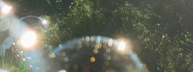 かなさんの壁紙画像