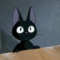 かなさんのアイコン画像