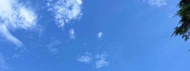 飛鳥さんの壁紙画像