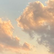 ここなっつさんのアイコン画像