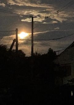 おやすみ🌙