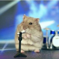 Ruka🐹❤️さんのアイコン画像