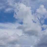 Riria😎🐰さんのアイコン画像