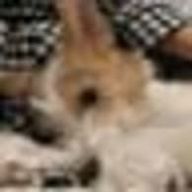 pjhさんのアイコン画像