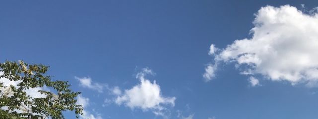 麗華さんの壁紙画像