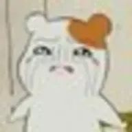 WTFさんのアイコン画像