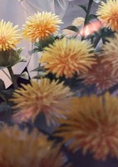 えなちゃん専用部屋