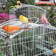 見る小鳥🕊(🧭🐰右固定)さんのアイコン画像