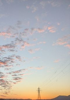 真実の僕