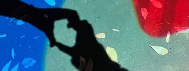 転生済   元秋莉柚鈴さんの壁紙画像