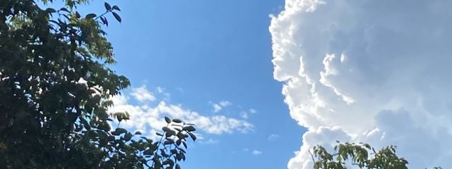月籠☪︎*｡꙳さんの壁紙画像