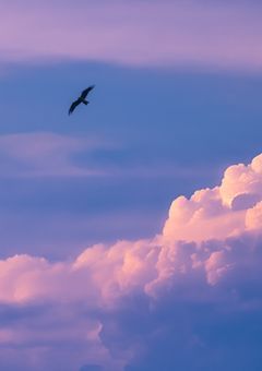 前向きなひとりごと