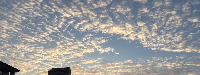 ひなさんの壁紙画像