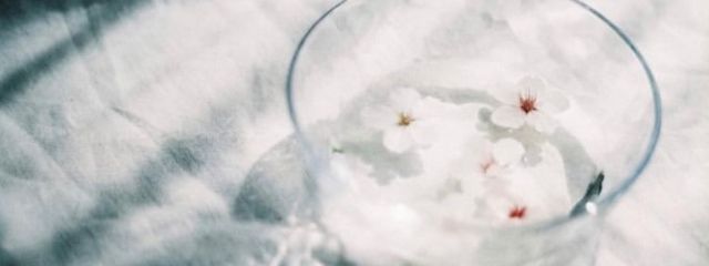 おくらさんの壁紙画像