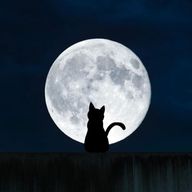 おくらさんのアイコン画像