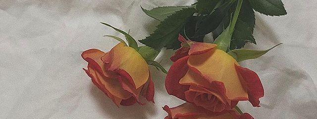 윤지*๑*さんの壁紙画像